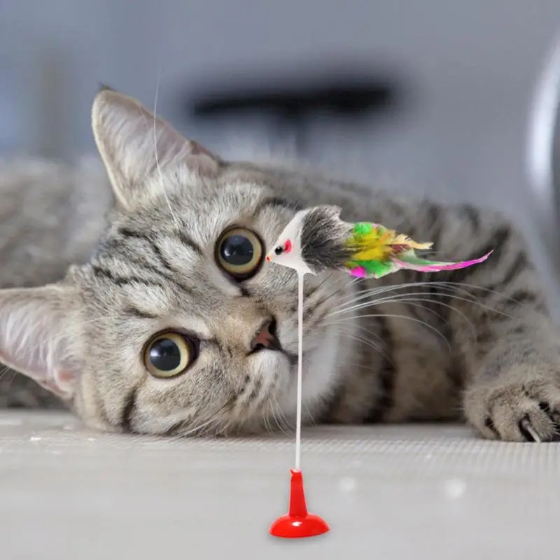 Забавный для домашнего котика игрушка присоска Весна ложная имитация мыши кошки котенок интерактивный тизер игрушки упражнения кошачьи когти пластик и плюш