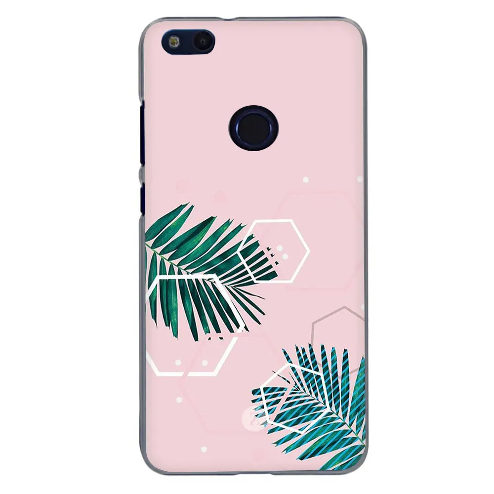 H5 Модный милый жесткий чехол для телефона с рисунком кактуса для huawei Honor 20 Play 6 7 8 A C Pro 7C 5.99in 7 9 10 X Lite - Цвет: H5