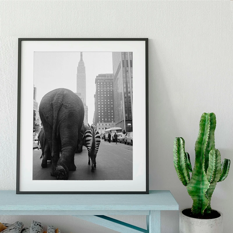 Elephant Animal Canvas Art Print Home Decor