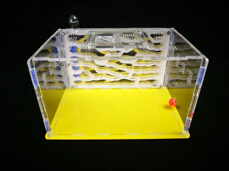 big-size-ant-farm (9)
