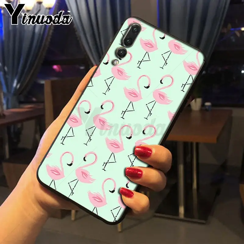 Colorful Flamingo
