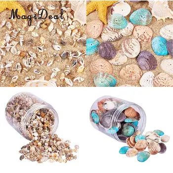 

2 Box Multi Sea Shells Natural Conch Shells Beach Seashells, Colorful Assorted Accents for Candle Making Home Decorations