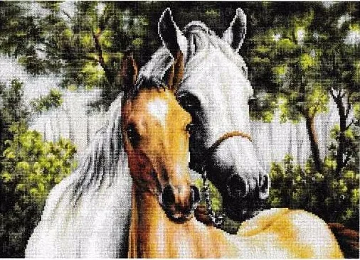 CS-1757 Cross Stitch Kit Two Horse Horses Mare and Foal Mother and Baby