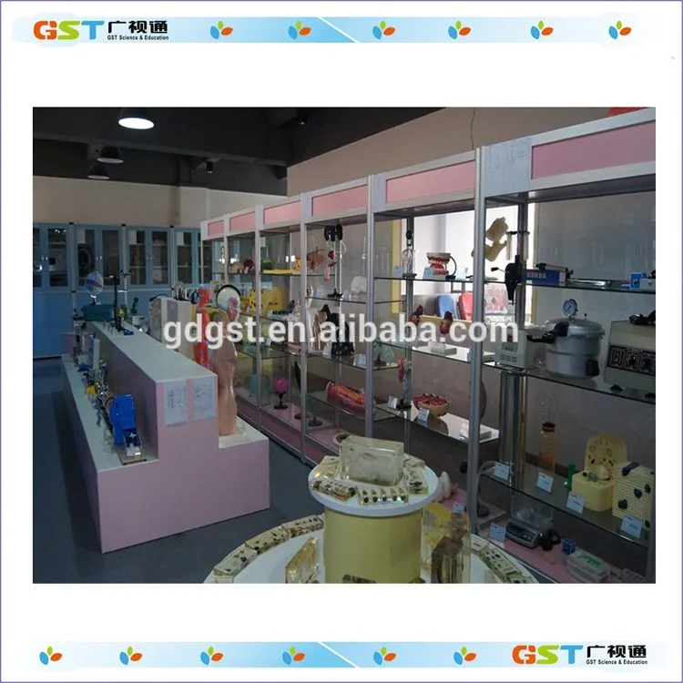 Physical Instrument Small Magnetic Needle,Diamond-shaped Magnetic Needle