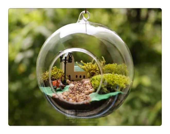 Online Get Cheap Terrarium Containers -Aliexpress.com Alibaba Group New Clear Round Hanging Glass Vase Bottle Terrarium Hydroponic Container Pot Flower DIY Home Table Wedding - Online Get Cheap Terrarium Containers -Aliexpress.com Alibaba Group