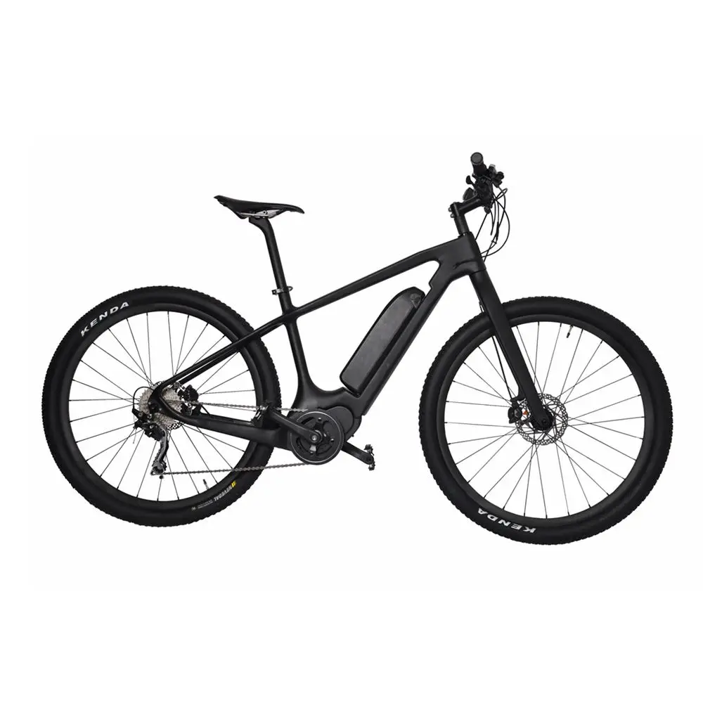 Discount 29er E Bike 18" carbon frames MTB motor wheel Electric Mountain Bicycle 36V 250W Bafang UD matt 1