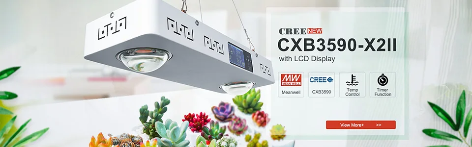 Диммируемый CREE CXB3590 300 Вт COB светодиодный свет для выращивания всего спектра Vero29 Citizen Светодиодная лампа внутренняя подсветка для рассады