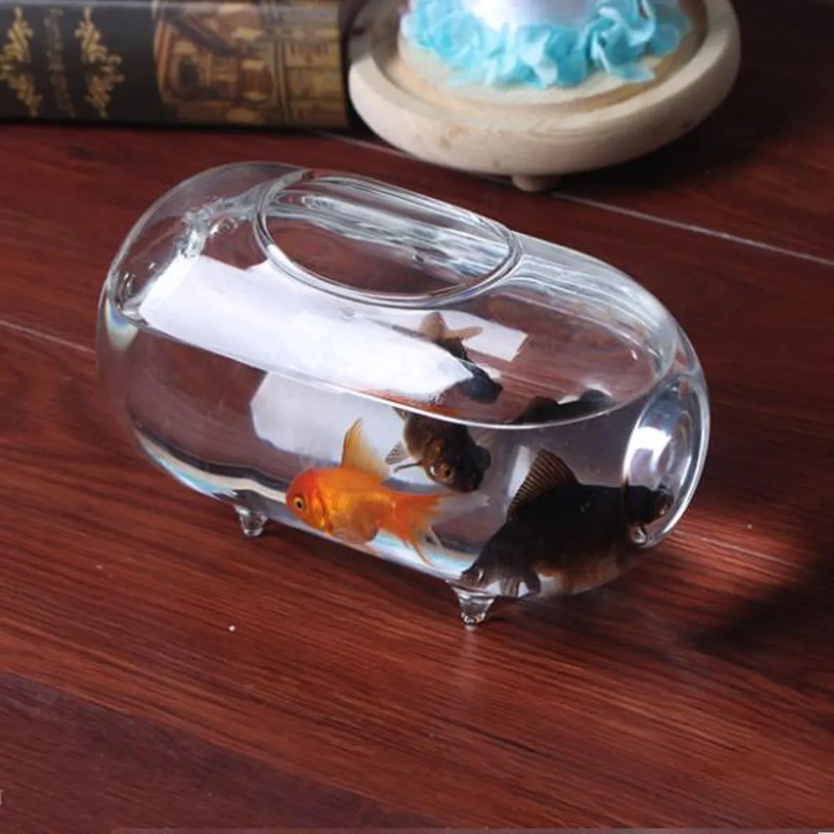 Buy Transparent 18cm Oval Glass Flower Vase Mini Fish
