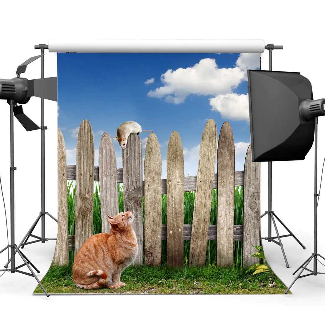 

Spring Backdrop Rural Countyard Backdrops Retro Wood Fence Cat and Mouse Blue Sky White Cloud Green Background