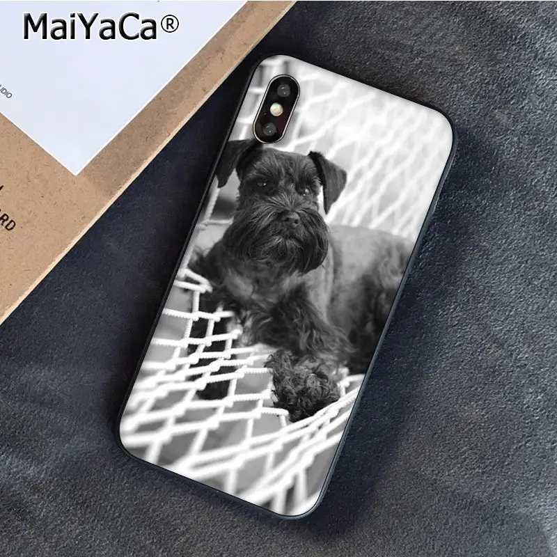 Lovely Dogs Schnauzer 