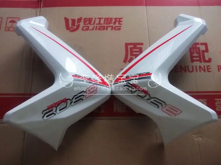 

Motorcycle  BJ300GS small tank around the front fender trim panel