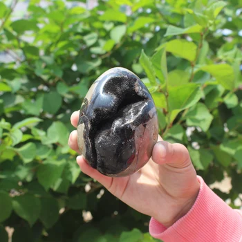 

530g Natural curvature of the furnishing articles Turtle grain stone egg Ball Septarian nodule Fossil Crystal Healing quartz 49