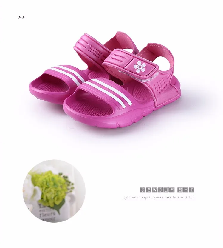 2376155506_1064448543