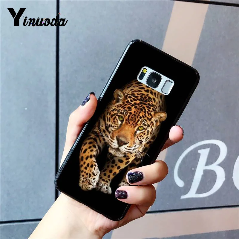 Russian version wolf tiger lion Leopard bear animal