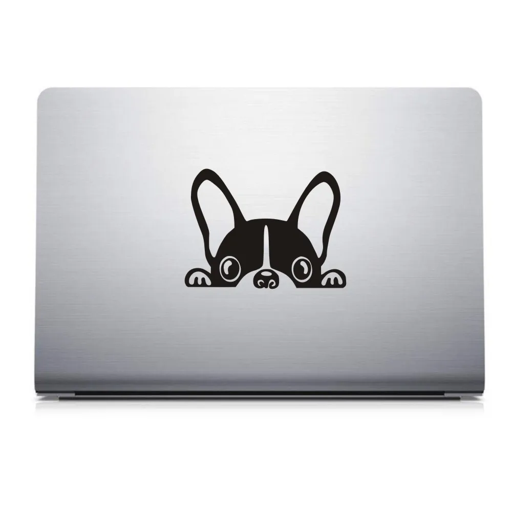 9462284265_1944888943