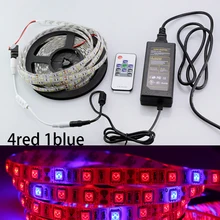 5050 Grow LED Strip light 4:1 waterproof Aquarium Greenhouse Hydroponic Plant Growing Lamp 60led/m + RF remote + DC 12V Power