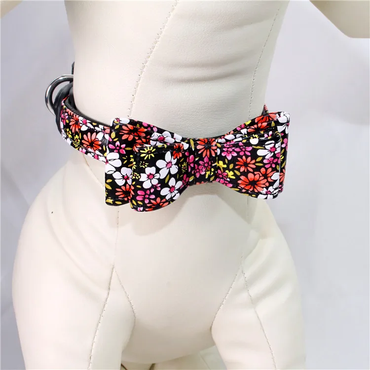 dog collar