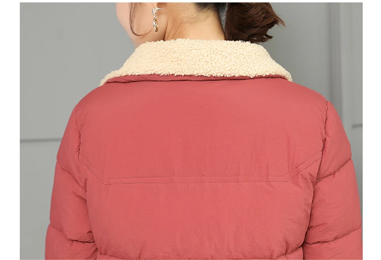 Women Jacket Winter Coats Long Outwear Jackets Cotton Padded Clothing Zipper Warm Winter Jacket 2018 Korean Ladies Coat CH642 (18)