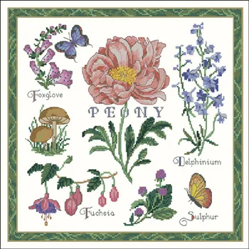 aeProduct.getSubject()