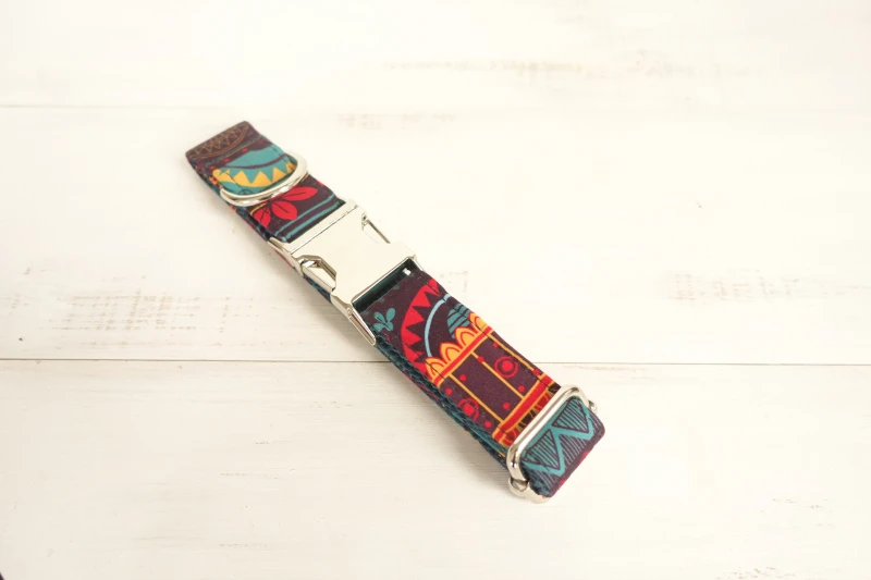 Designer Dog Collars (10)