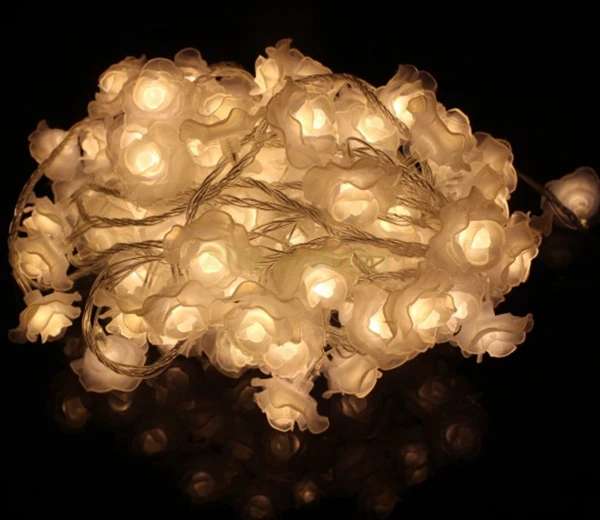 nn07