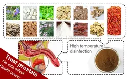 Облегчение давления мочеиспускания сердца почек, устранение токсинов, сильного тела, предотвращение и Лечение простаты из двойная