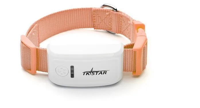 HTB1SFEgGXXXXXcuXpXXq6xXFXXXW