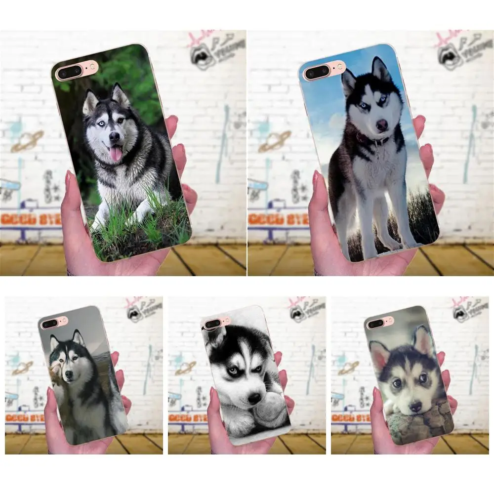 TPU мобильный телефон для Galaxy J1 J2 J3 J330 J4 J5 J6 J7 J730 J8 2015 2016 2017 2018 mini Pro Wacky Husky | Мобильные