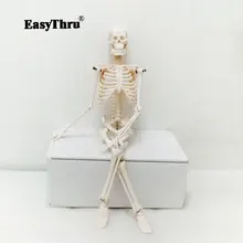 PVC 45cm Human Body Skeleton Model Mini Mannequin OTC Bone Model Medical Teaching PVC 45cm Human Body Skeleton Model Mini Mannequin OTC Bone Model Medical Teaching