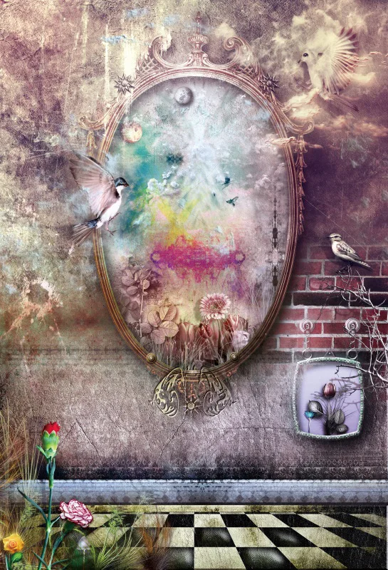 

Laeacco Fairy Tale Mirror Birds Brick Wall Photography Backgrounds Customized Photographic Backdrops For Photo Studio