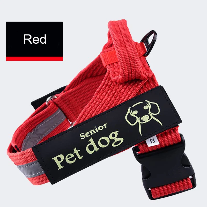 Harnesses-16-16