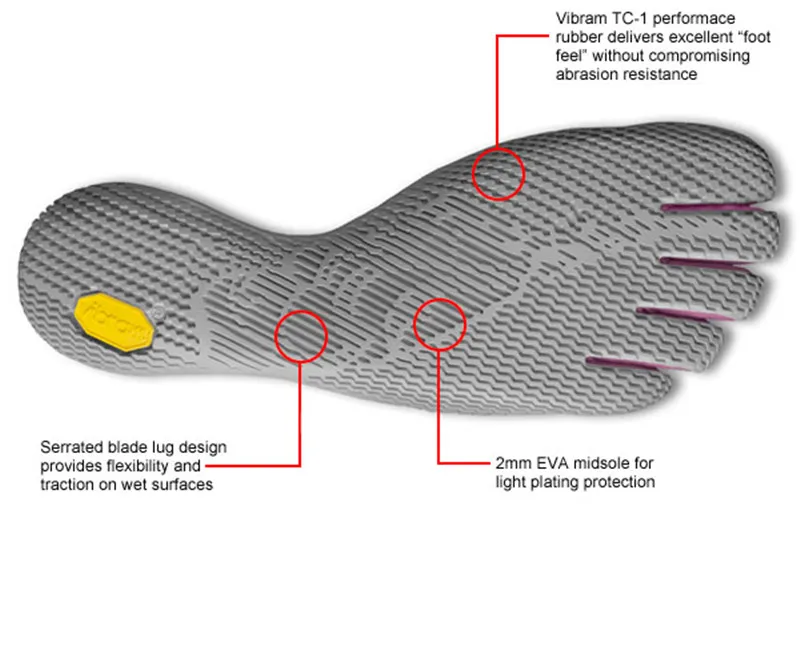 Alitza_anatomy