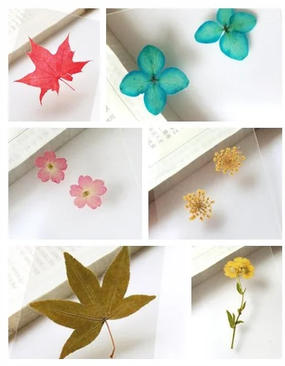 5 Kinds Beautiful Dry Flower Pressed Flower Craft Card Bookmarks Sample Girl Gift