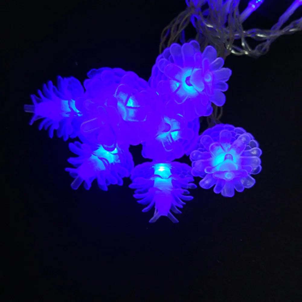 blue pine corn lights