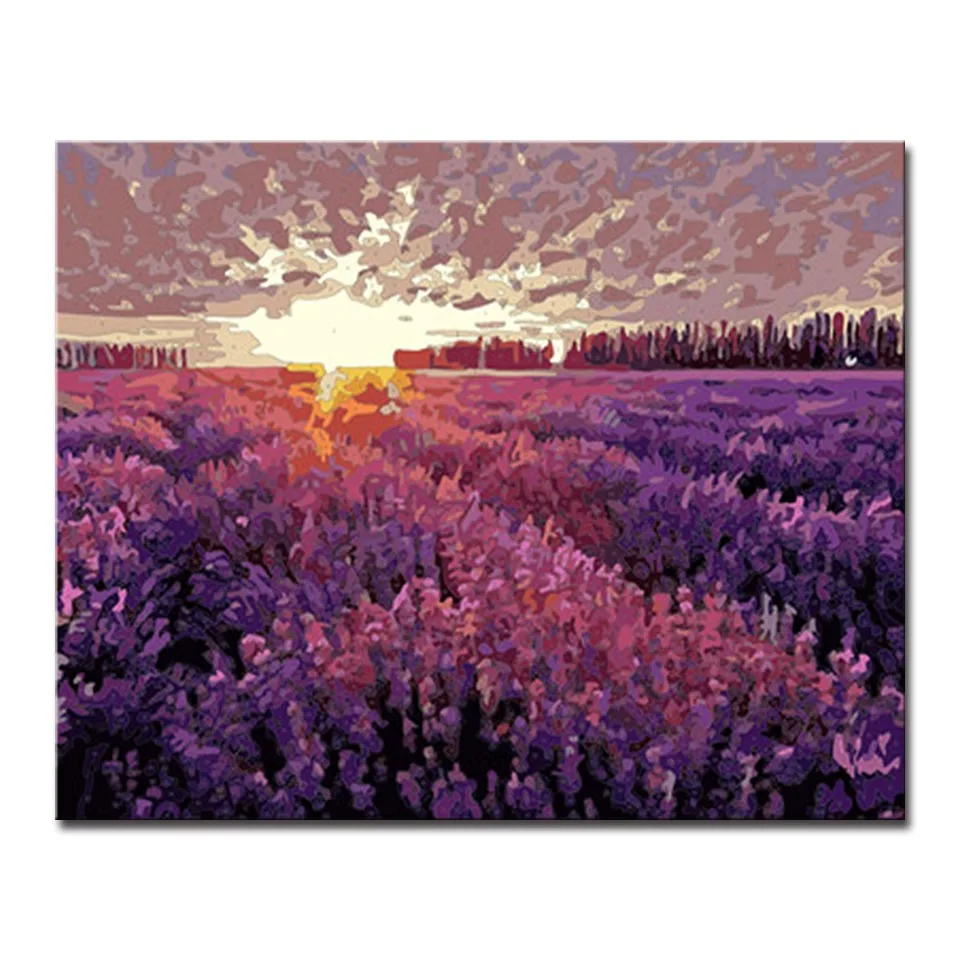DIY Coloring Pictures By Numbers Oil Painting Drawing Lavender Garden