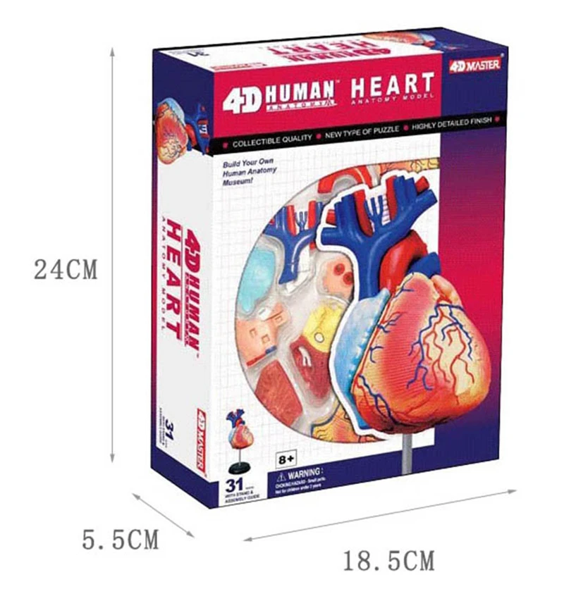 Сердце 4d мастер головоломка Сборка игрушки человеческого тела орган анатомическая модель для медиков обучающая модель