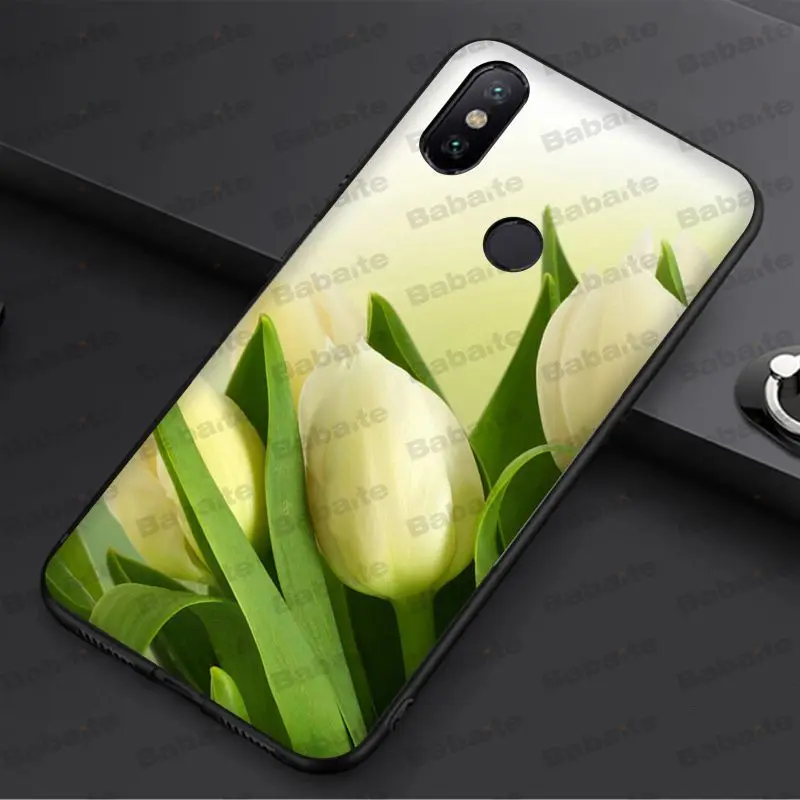 tulip flower 
