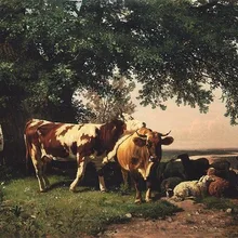 Краска по комплекты номеров для взрослых DIY 40197