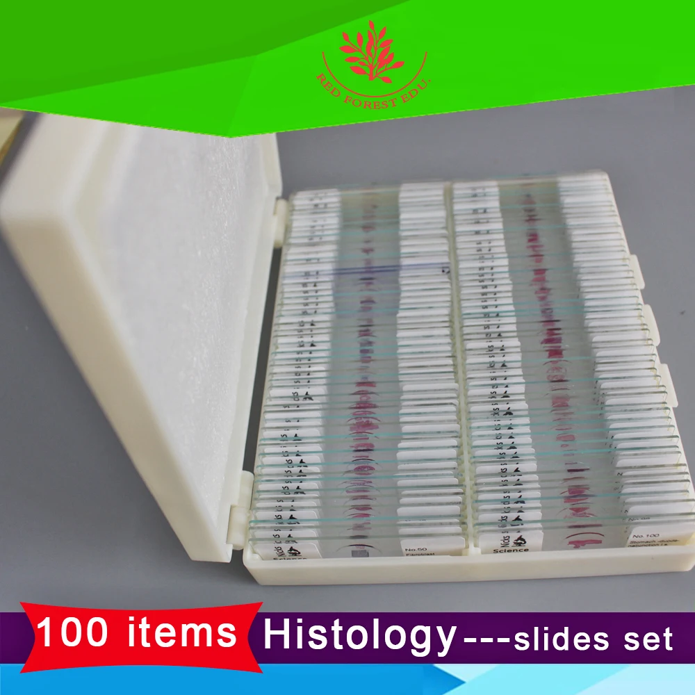 

Life science histology Vertebrate Histology Identification Slide Set