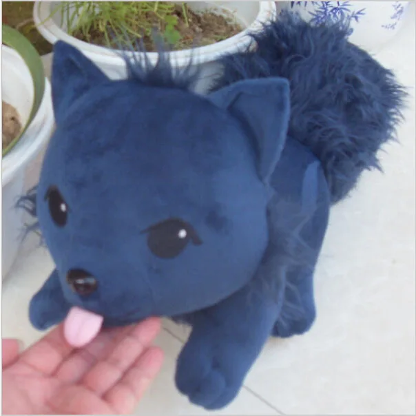 Dmmd