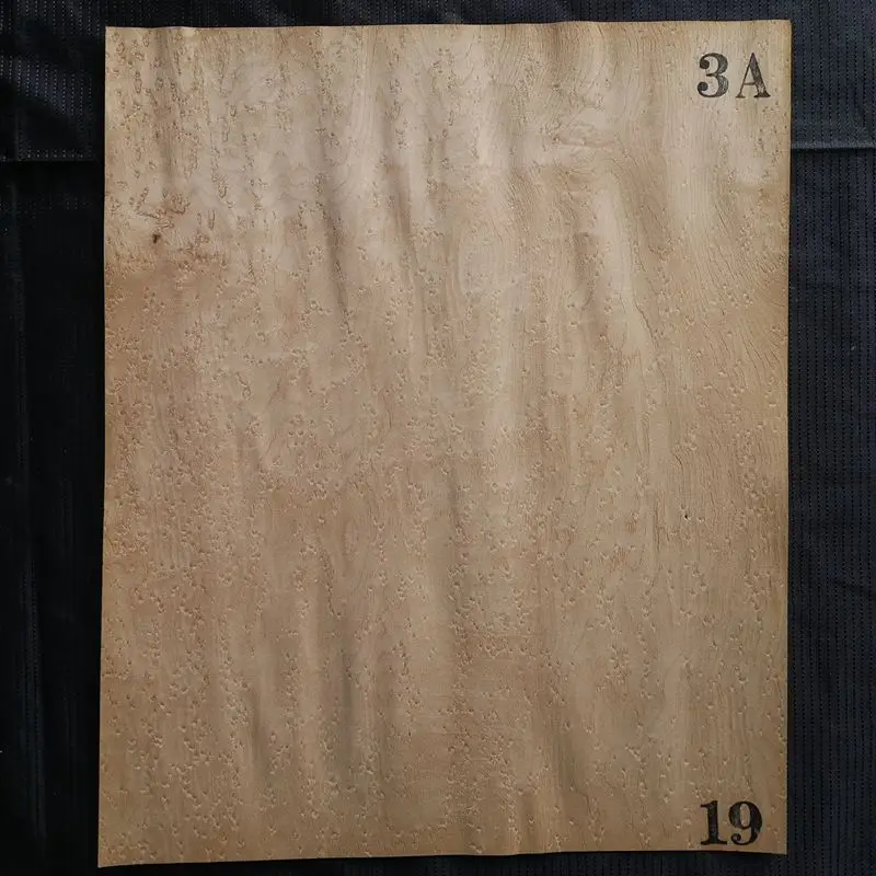 19