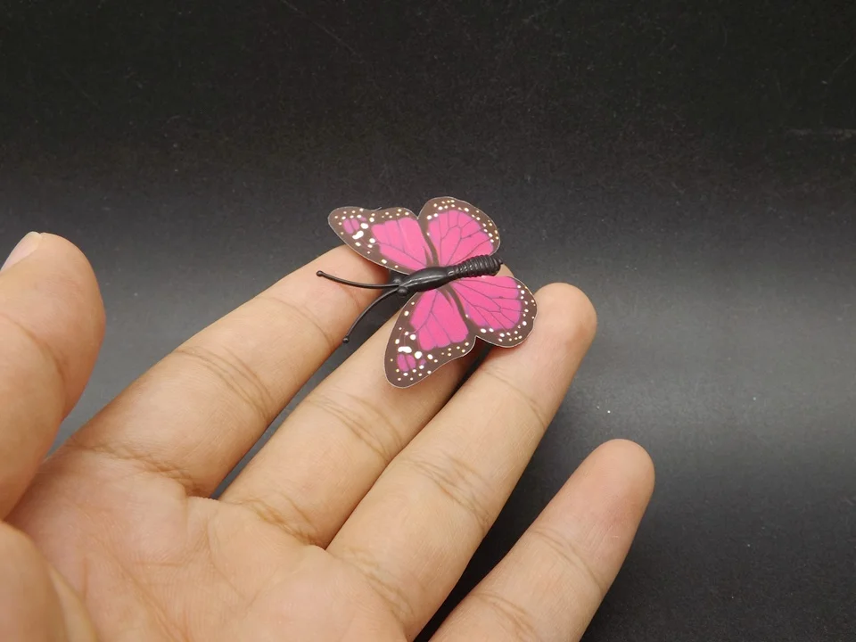 I249-Butterfly (2)