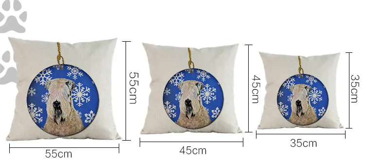 222228822_05