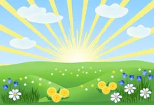Laeacco Cartoon Grassland Flowers Clouds Sunrise Baby Photography Backgrounds Customized Photographic Backdrops For Photo Studio