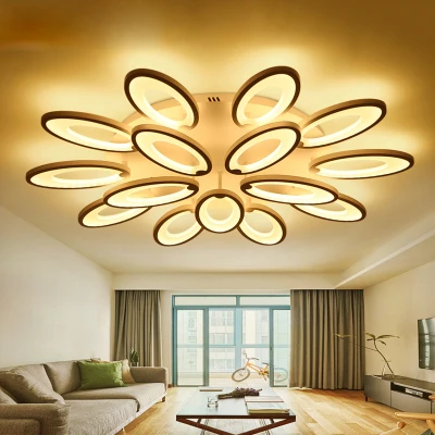 

Large LED Ceiling Light Fixture LED Surfaced Mounted Ceiling Lamp Home LED Lighting for Foyer Living Room 100% Guarantee