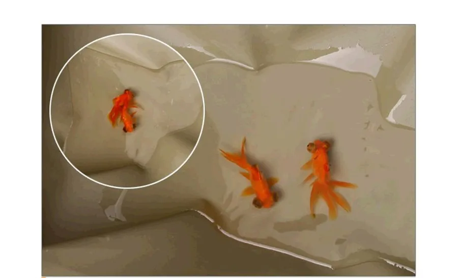 2016-12-01_133553