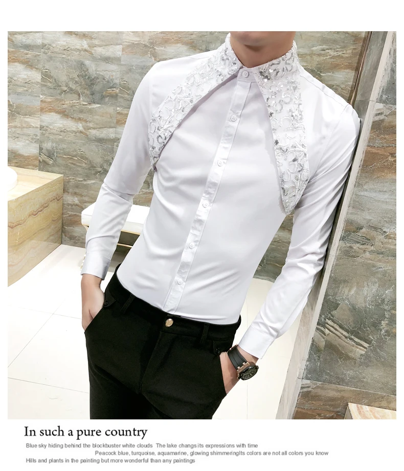 AILOOGE Высококачественная Корейская рубашка мужская мода весна лето сексуальные кружевные мужские рубашки с длинным рукавом Ночной клуб певица костюм рубашка