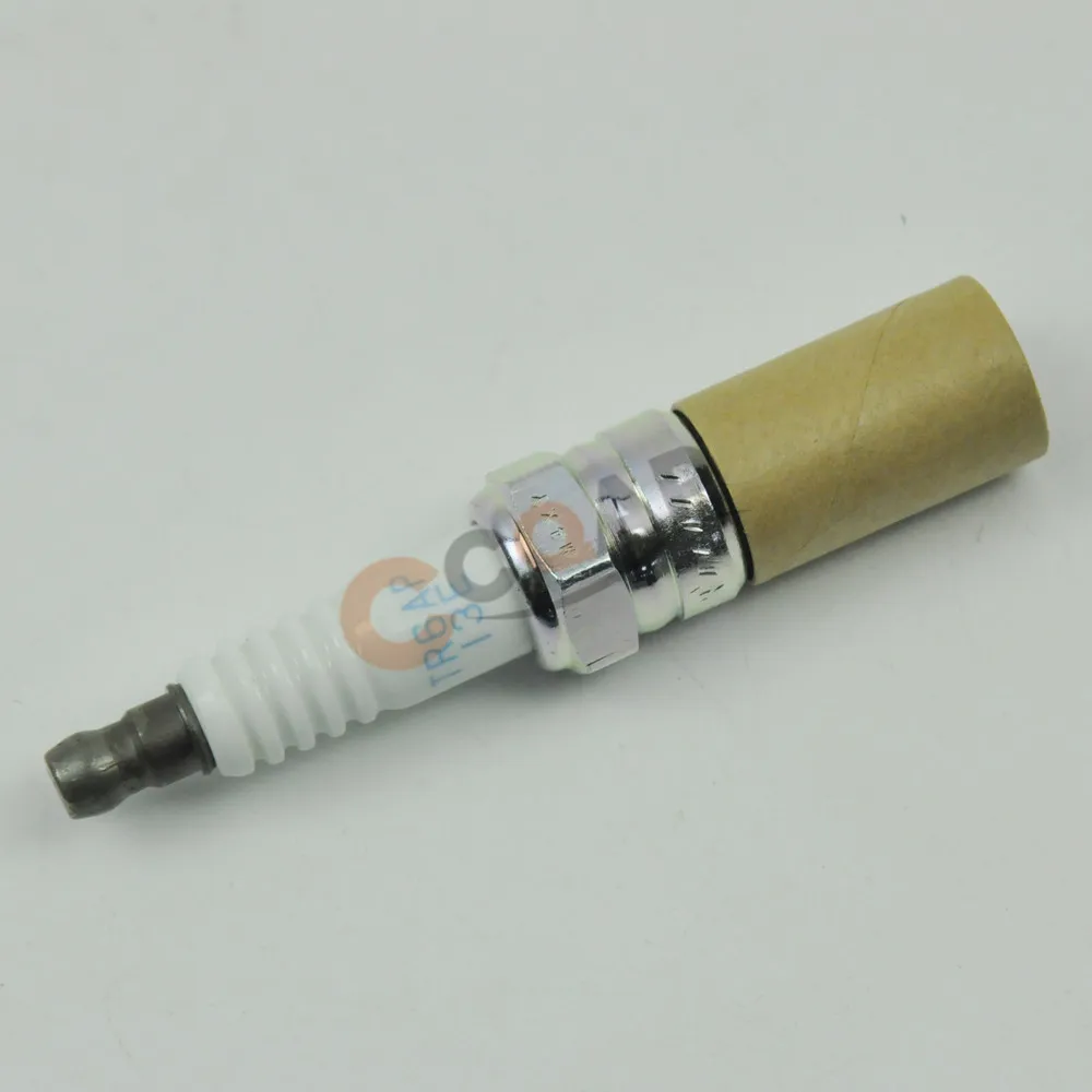 TR6AP-13E 4968 (7)
