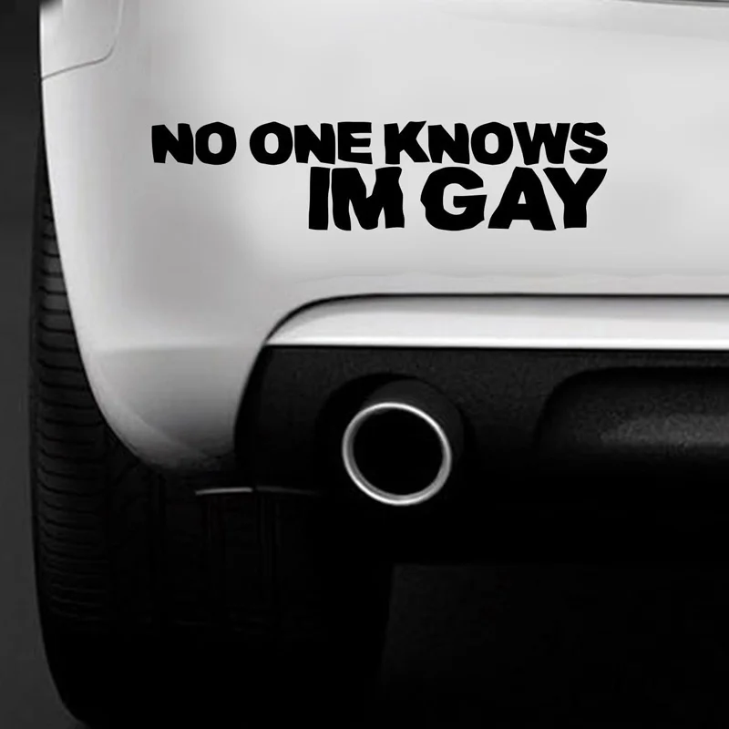 NO ONE KNOWS IM GAY Funny Car Bumper Stickerin Stickers from Toys