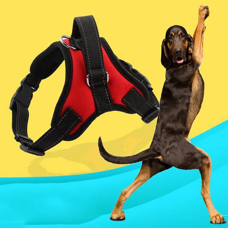HTB1A0HYIVXXXXchXXXXq6xXFXXXJ